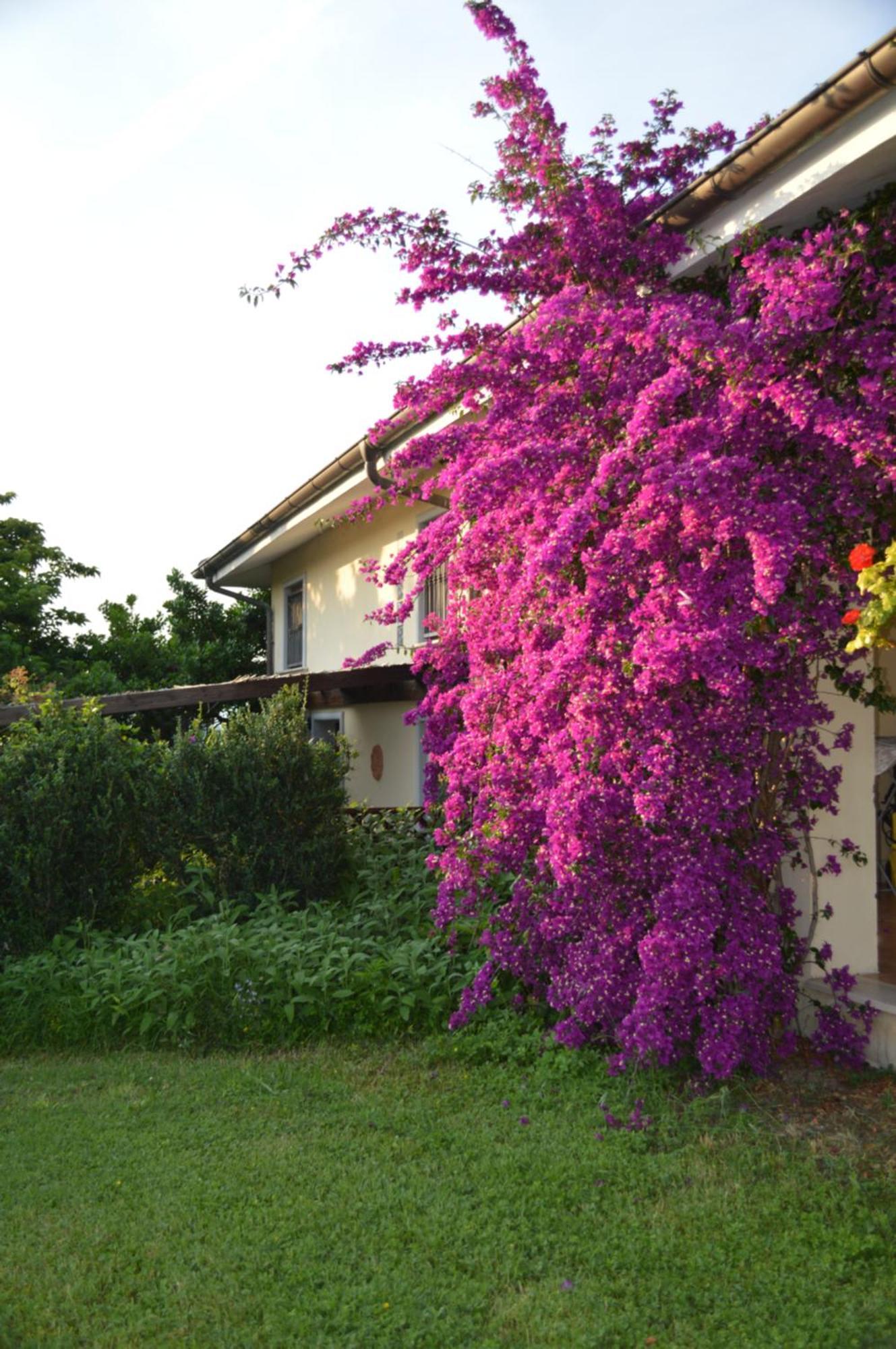 Villa Collebelvedere - Near Rome With Home Restaurant Fara in Sabina Bagian luar foto